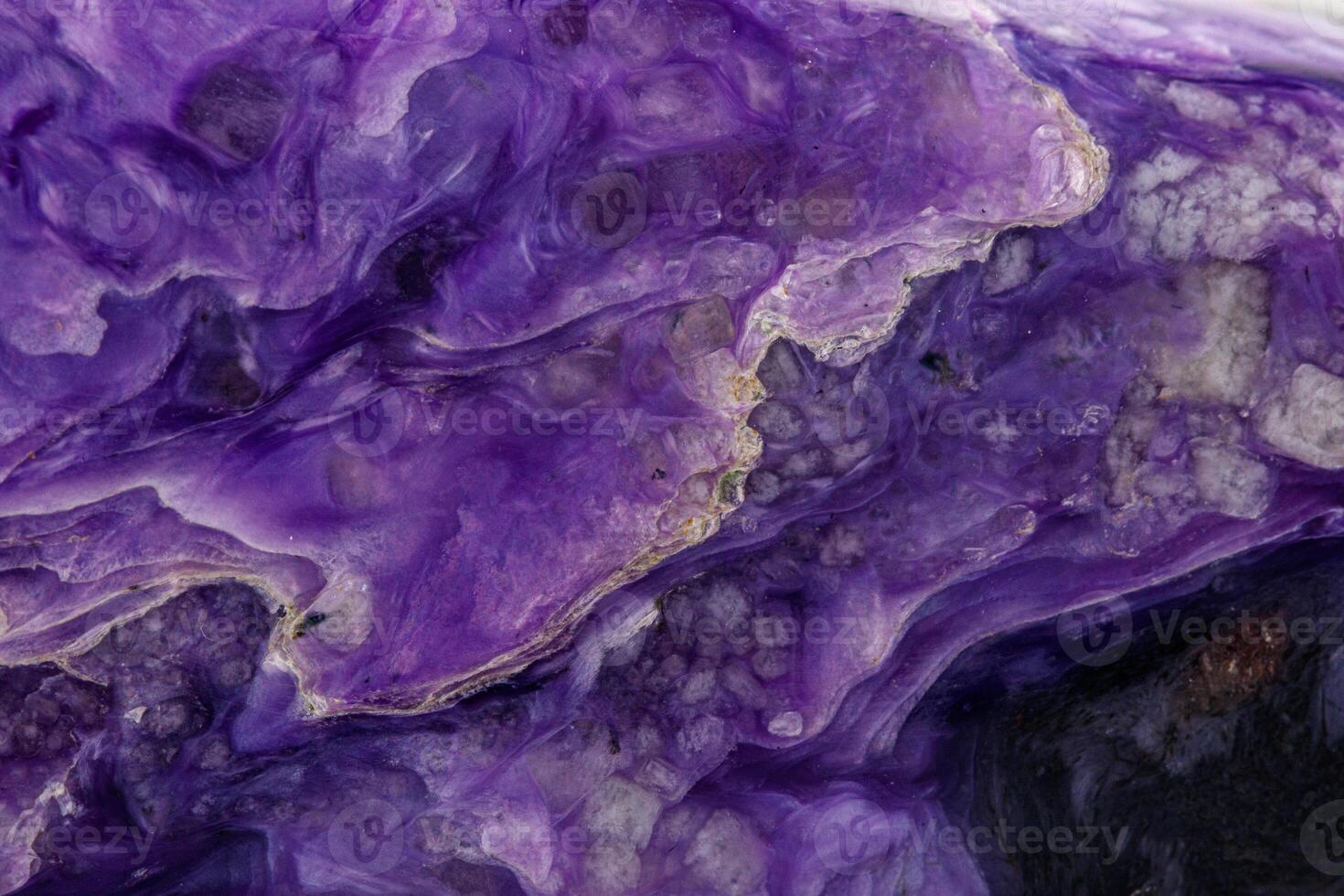macro mineral stone Charoite on a white background photo