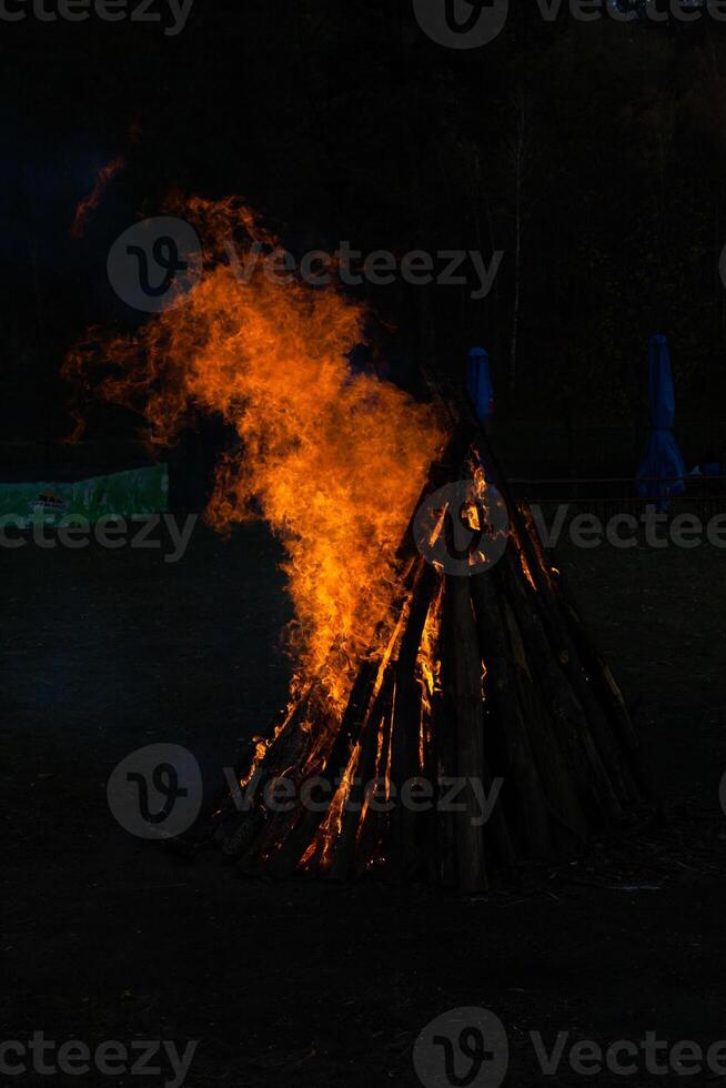 Beautiful fire flames on a campfire photo