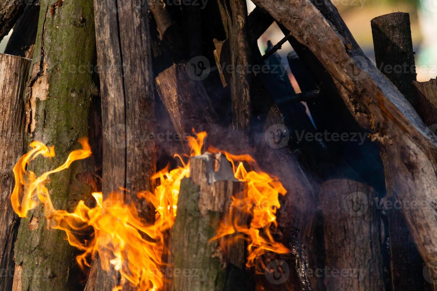 Beautiful fire flames on a campfire photo