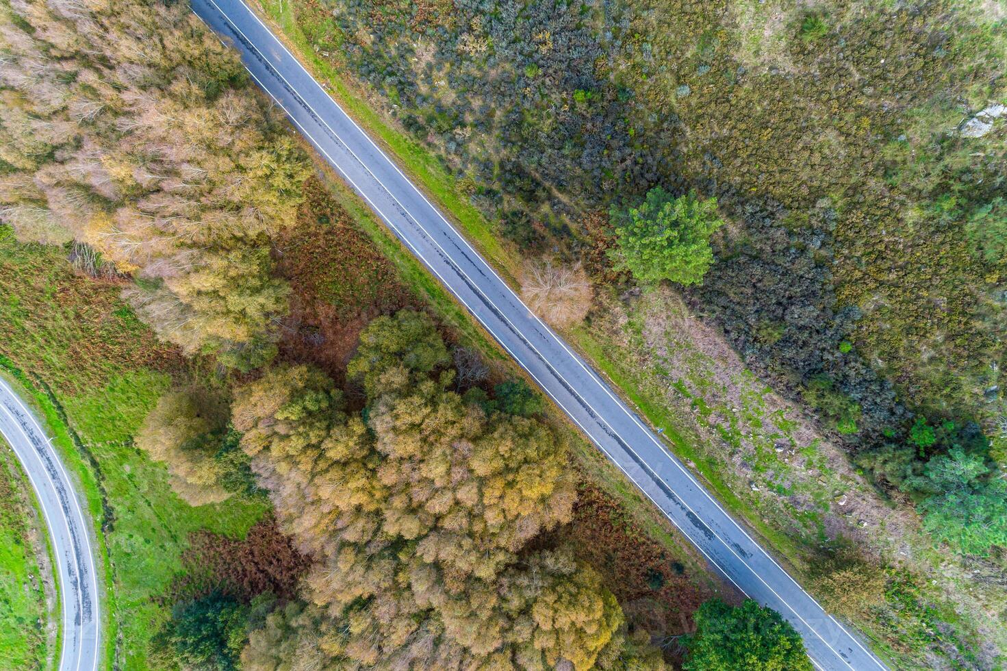 directly above drone view of a secondary road, aerial photography photo