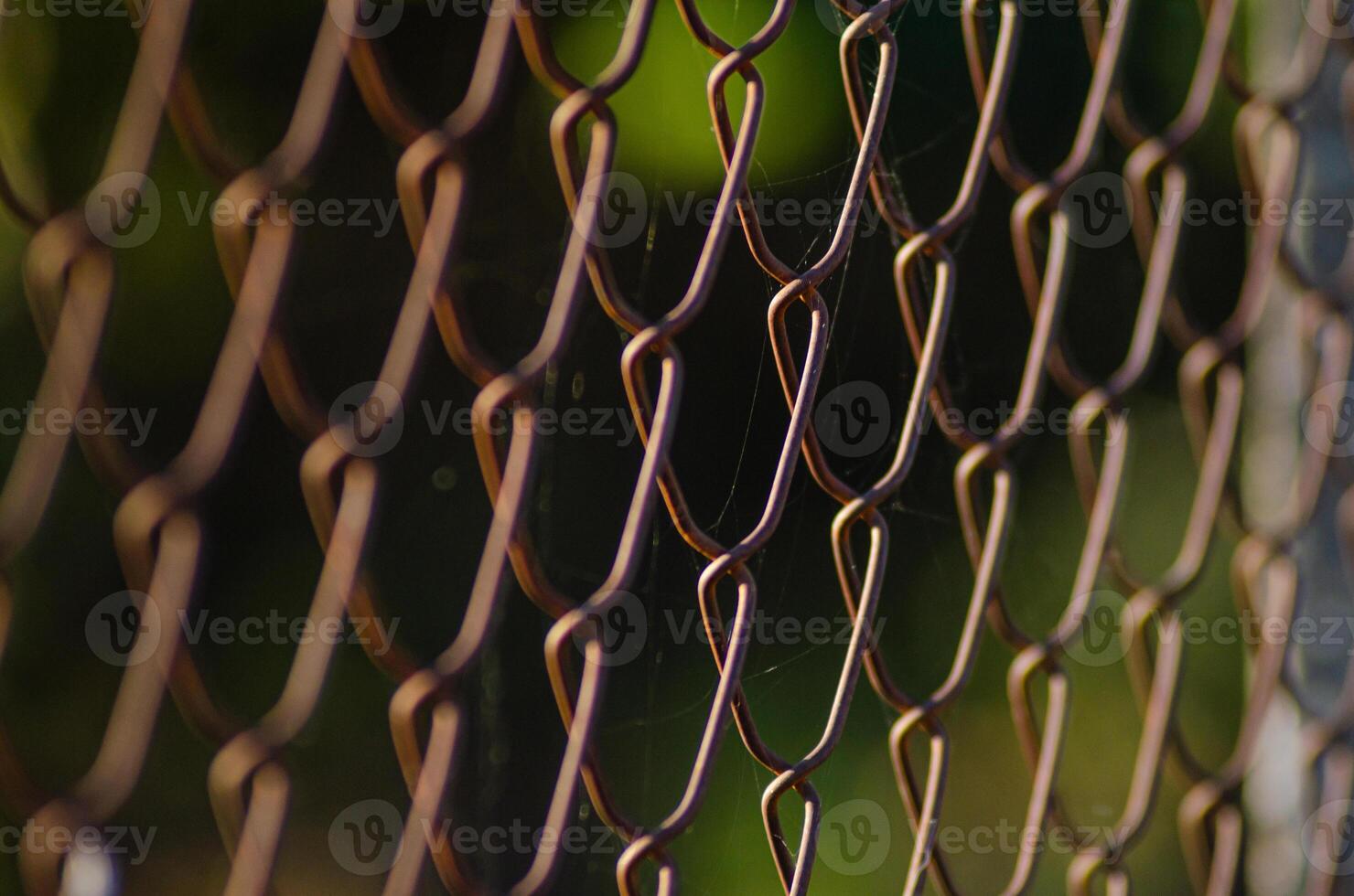 close up view of detail of wire and chain-link fence photo