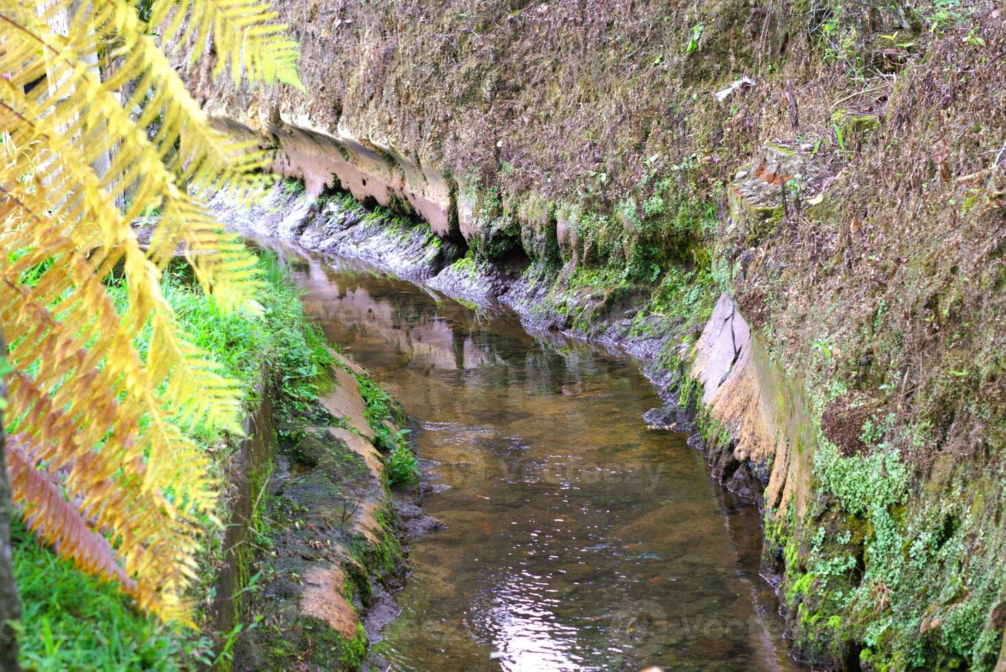 small river with a water flow photo