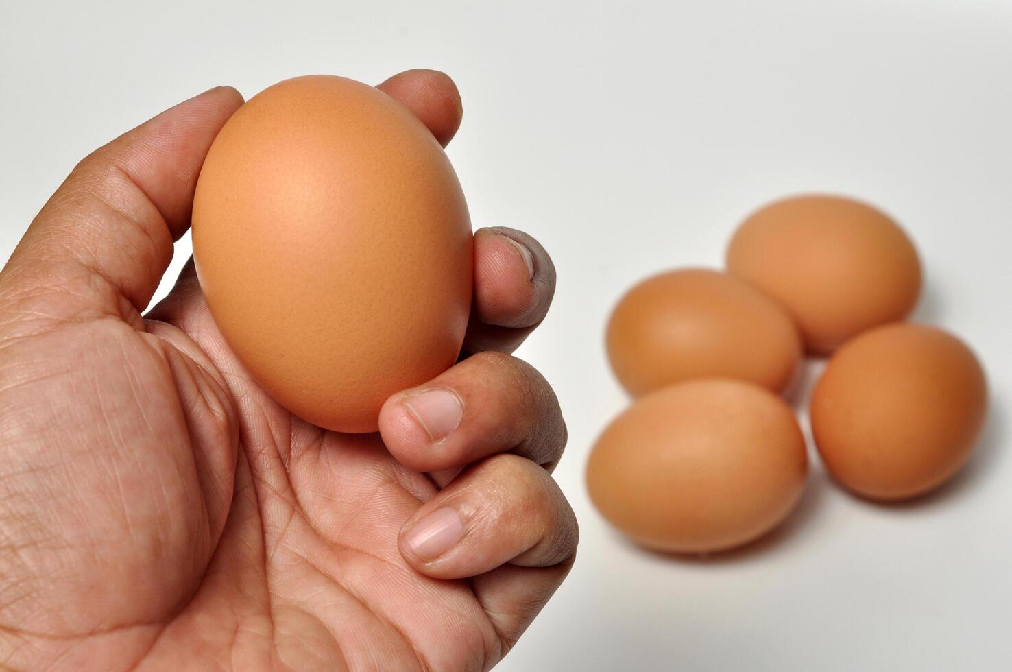 Closeup hand holding egg white background photo