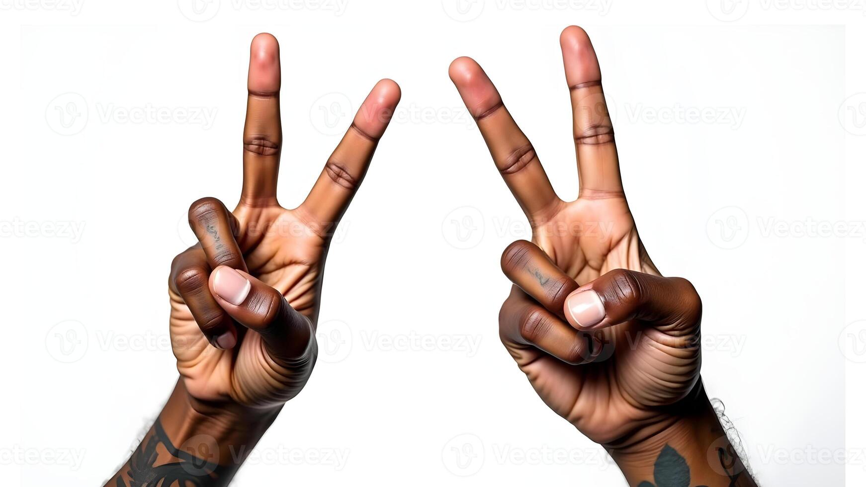 Two Hands Showing the Peace Sign, Studio Shot on White Backgroun photo