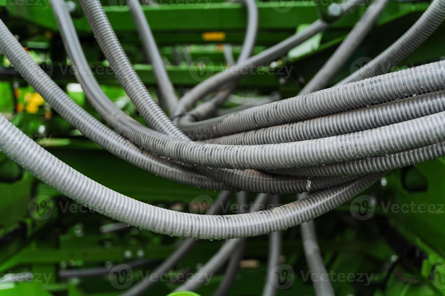Networking cables connect to green machine in plant photo