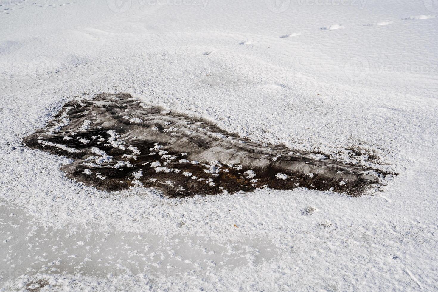 A frog drawn in snow, a terrestrial animal in freezing landscape photo