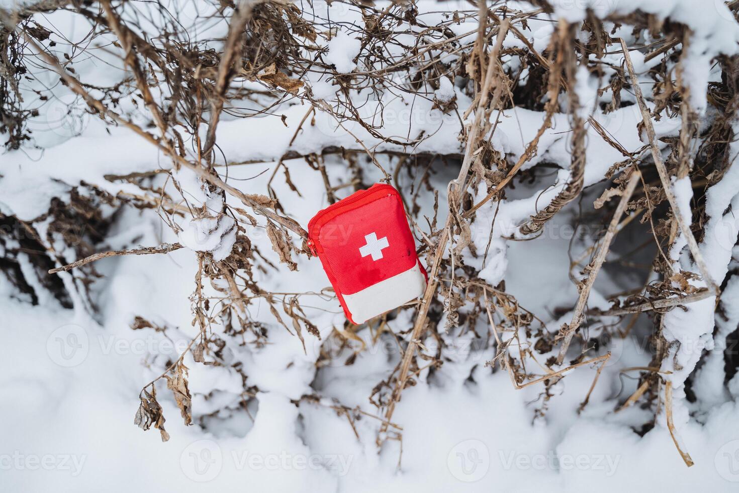 A red first aid kit lying on the snow in the forest photo