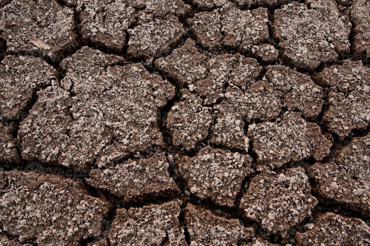 Closeup of cracked brown asphalt road surface with grey automotive tire marks photo