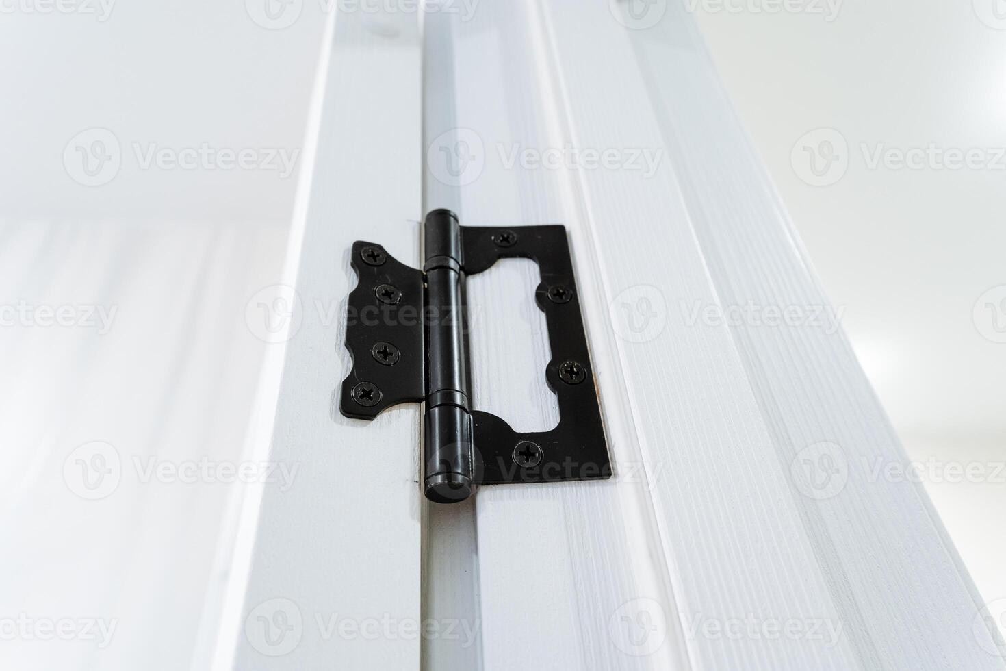 This image features a detailed closeup of a black door hinge on a white door photo
