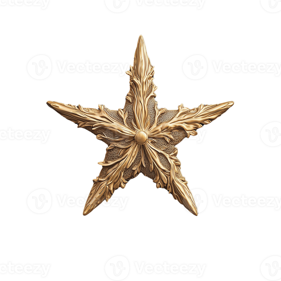 Ornate gold star with intricate leaf patterns on display png