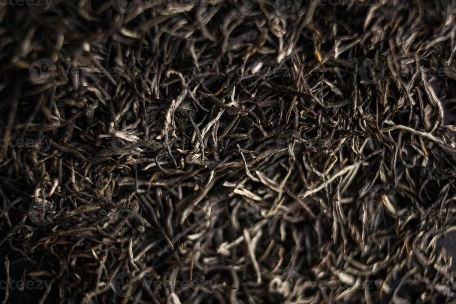 Closeup of black tea leaves, resembling a pattern of tiny tree twigs photo