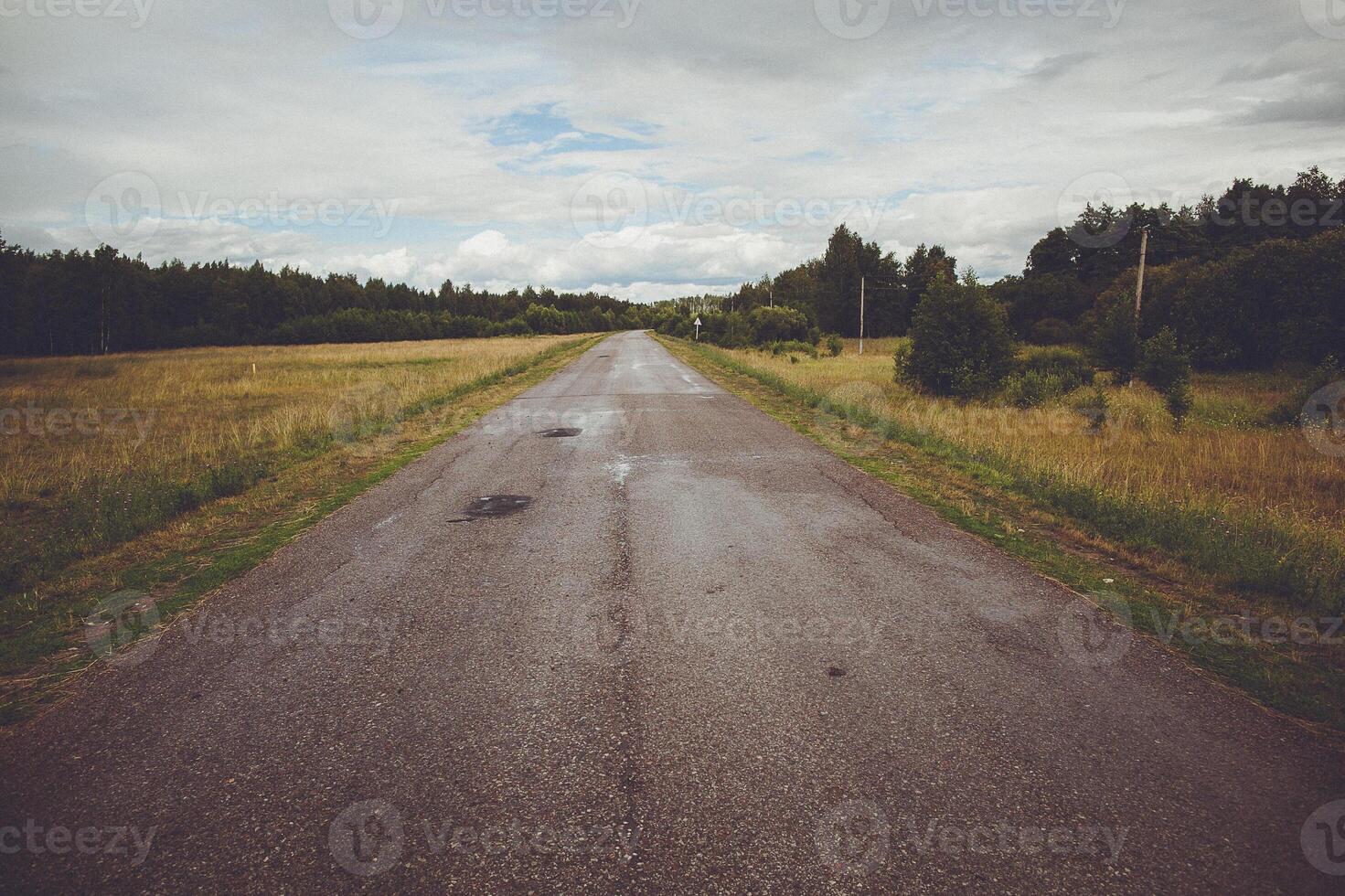 a road that is going through a field with trees on the side of it photo