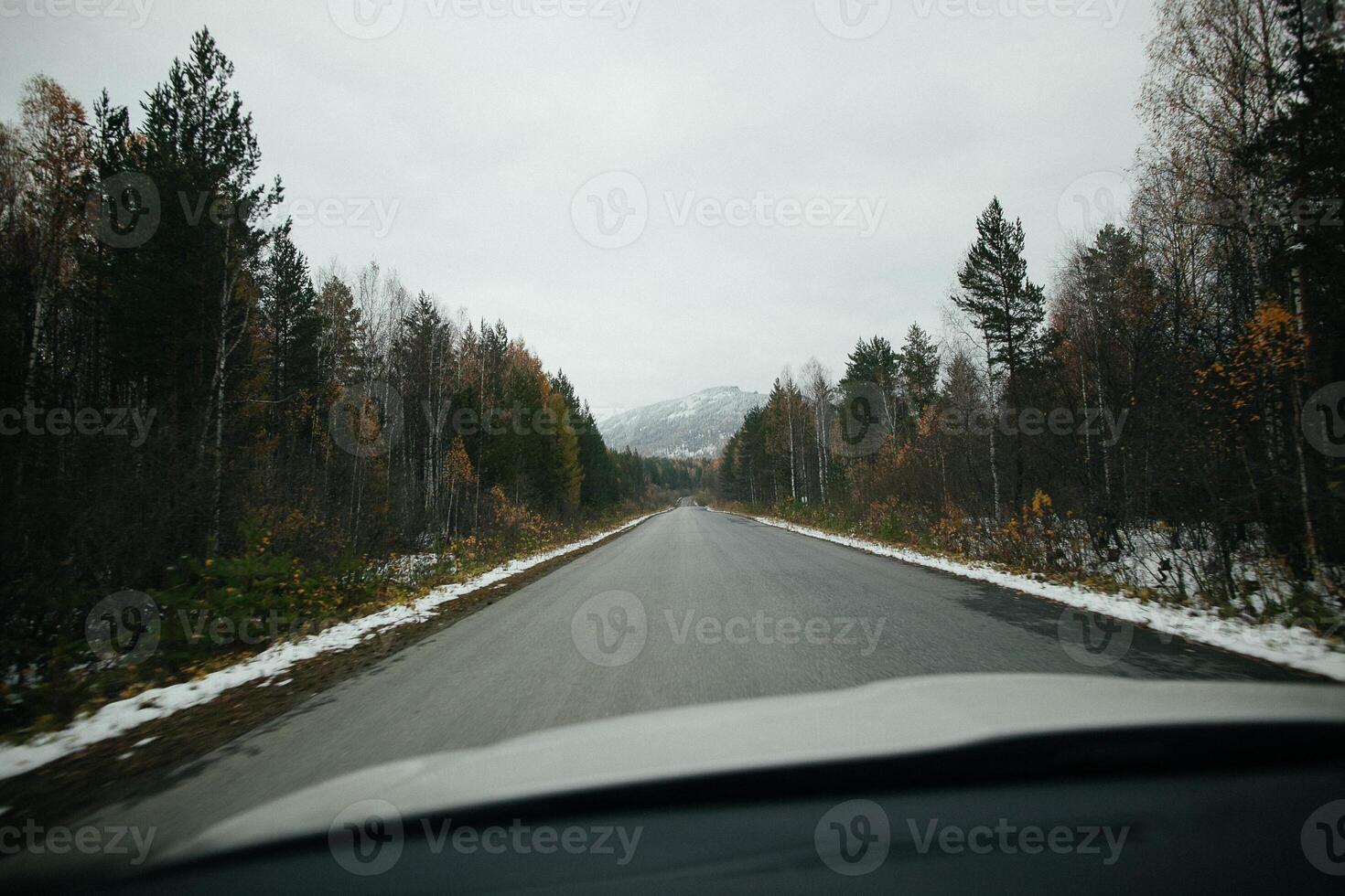 A vehicle drives on an asphalt road through snowy woods photo