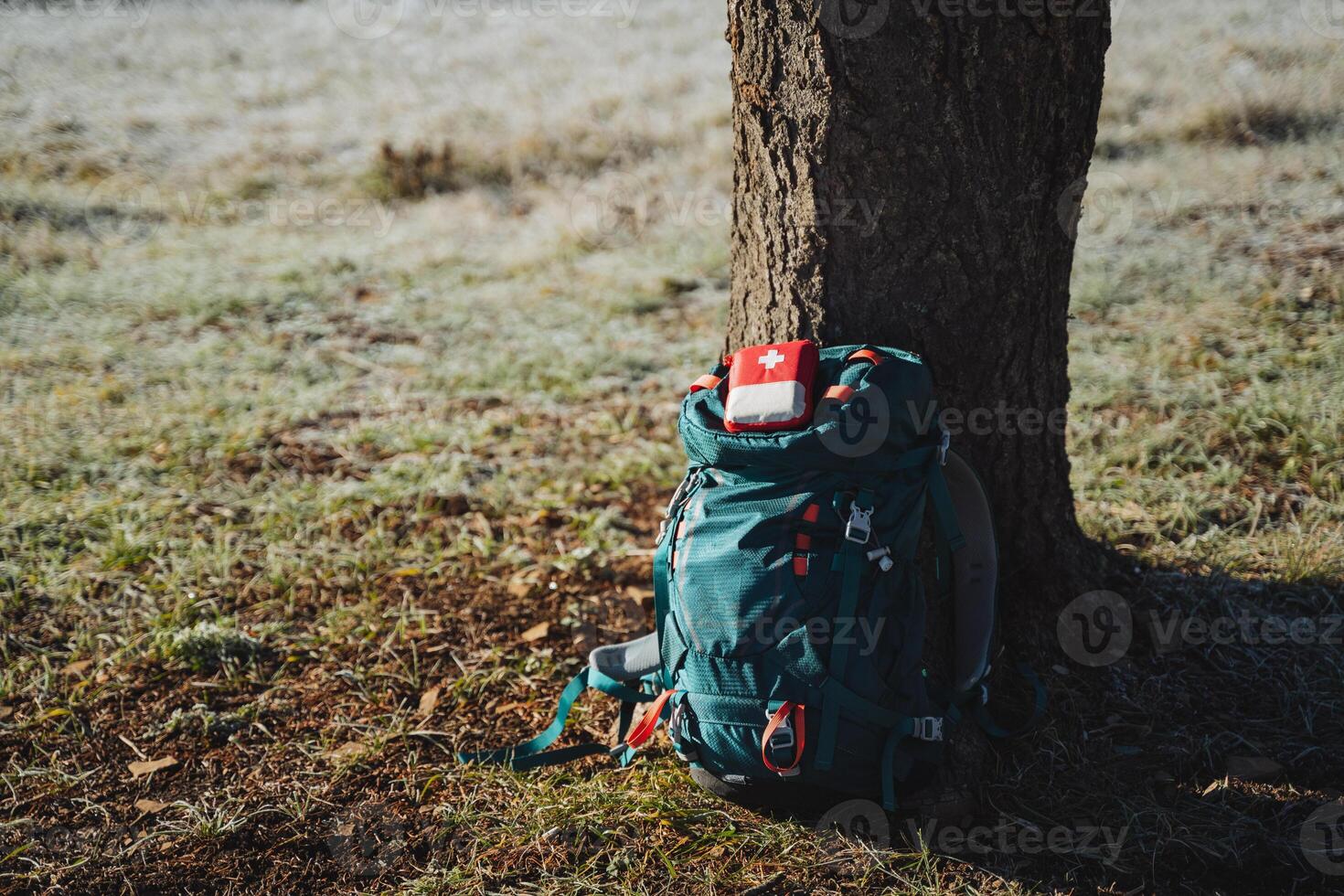 A tourist backpack is under a tree, a first aid kit, equipment for hiking in the forest. Trekking in the mountains. photo