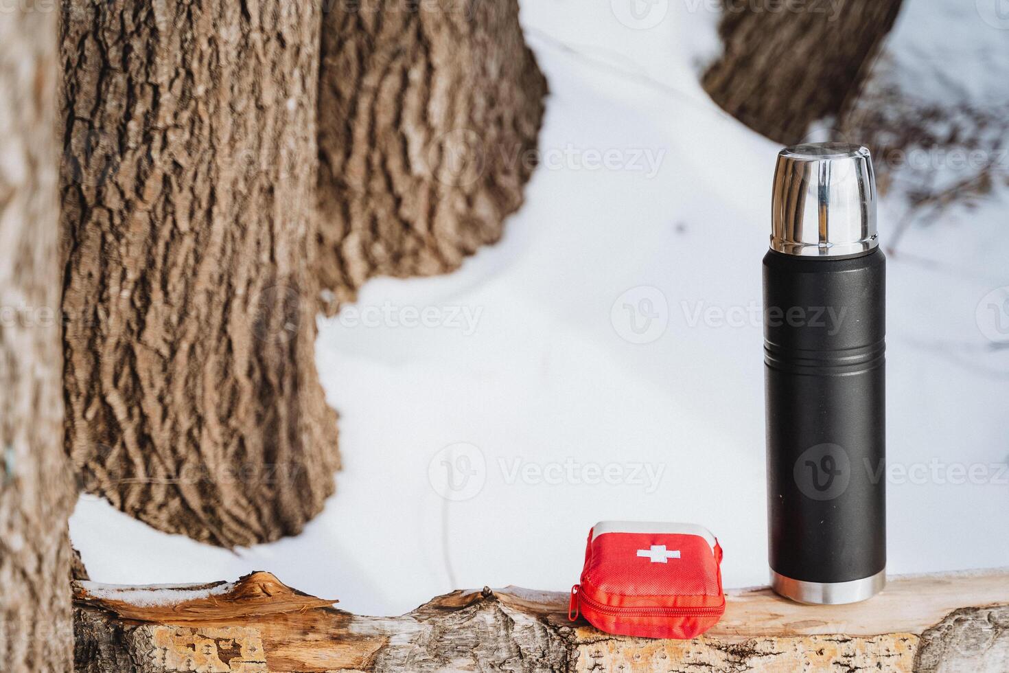 Black thermos with a red first aid kit on a birch log in the winter forest. photo