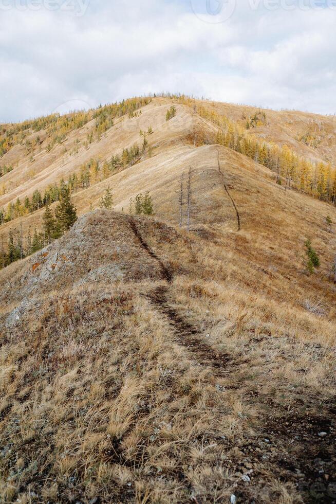 Mountain autumn landscape, hiking route runs along the mountain range, black line hiking trail for walking in the mountains. photo