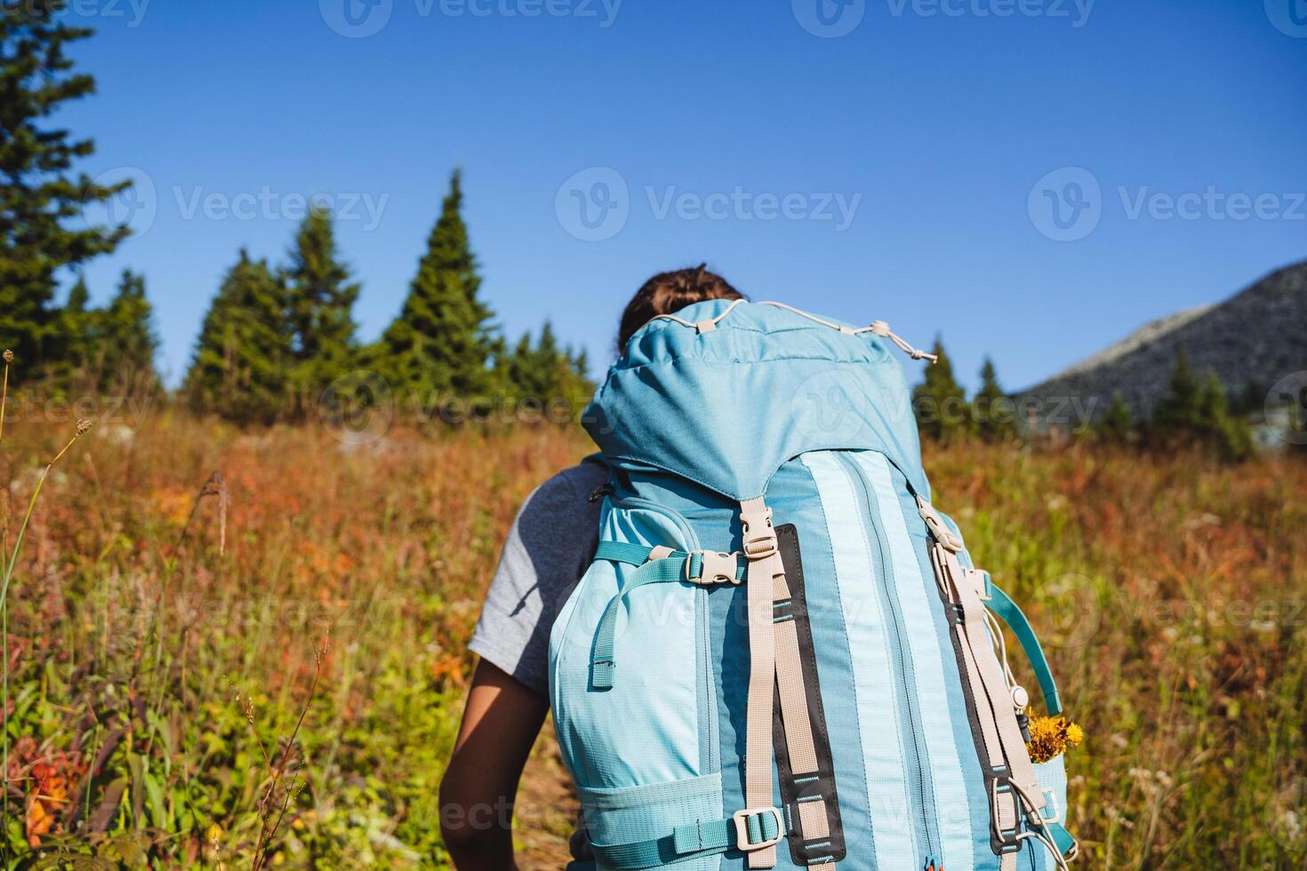Camping equipment, backpack for things, rear view, hiking in the mountains with a trunk, straps on the backpack, trekking equipment, rear view of the tourist. photo
