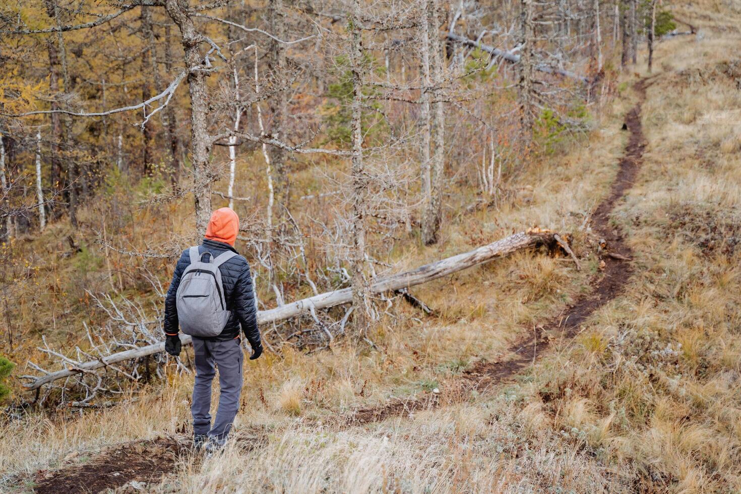 Hiking on a mountain path in the forest, solo adventure, back view of a man with a backpack walking on the road in the mountains. photo