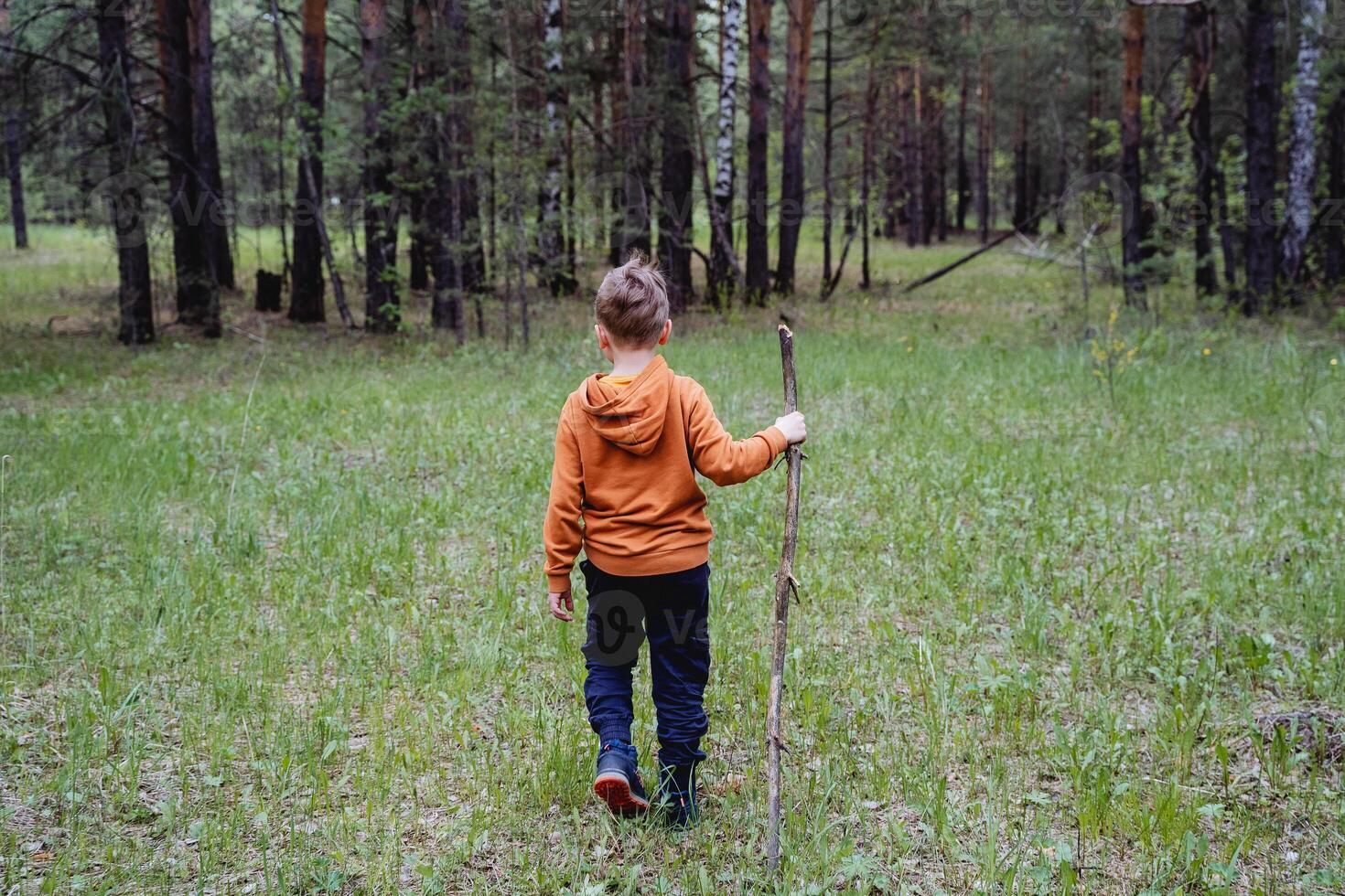 The boy was lost in the forest looking for a way home, the child was left alone in an unfamiliar place, summer holidays in nature, holding a stick in his hand, walking on the grass. photo