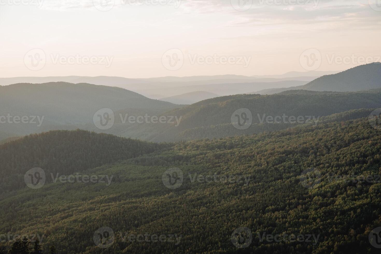 Dense taiga forest from above, bird's-eye view, drone shooting, flying over the forest, light haze in the distance, green trees, mixed forest photo
