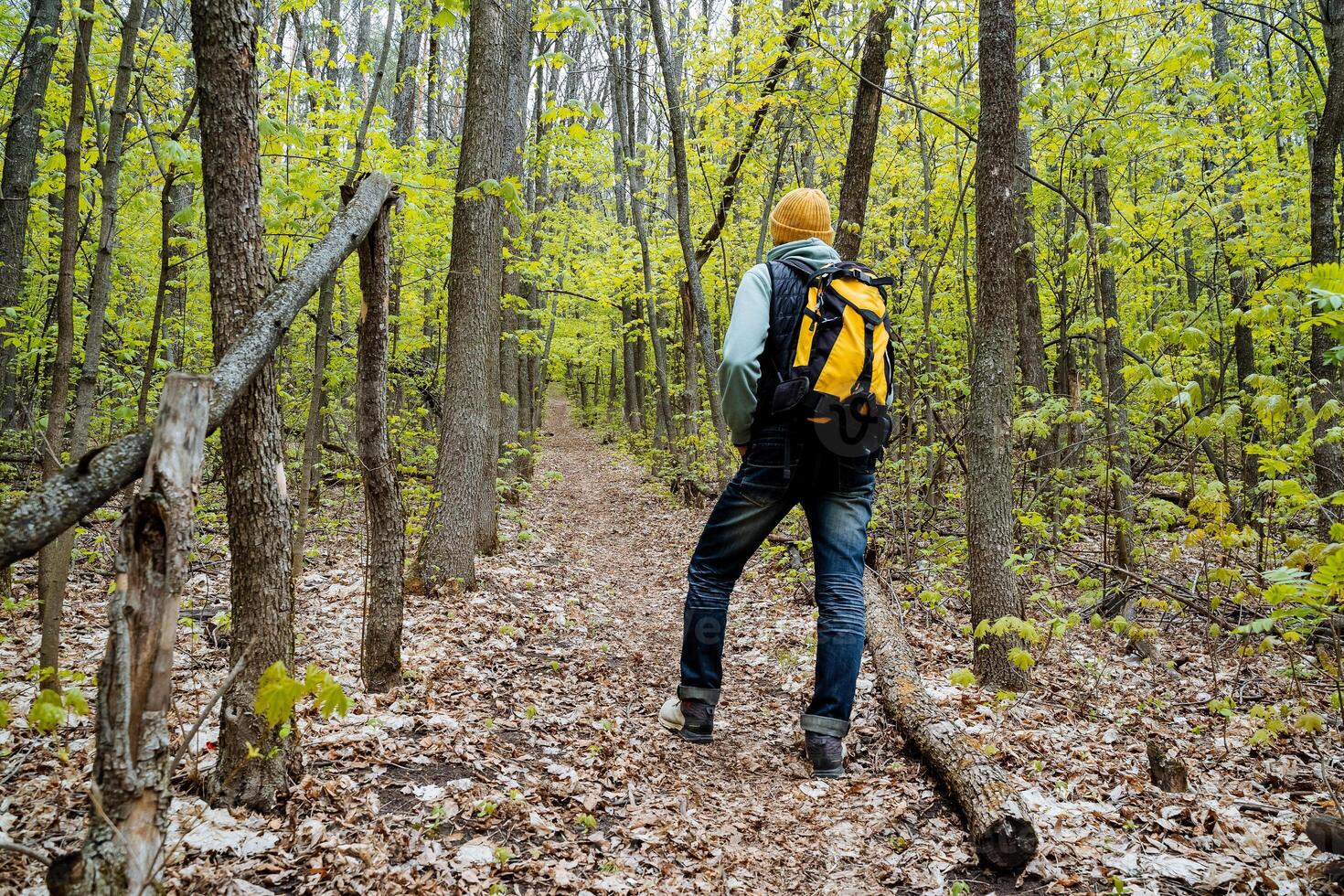 Man view from behind standing in the forest backpack hanging on his back, yellow hat, warm clothes, early spring walk in the park, tourist traveler, hiking in the mountains photo