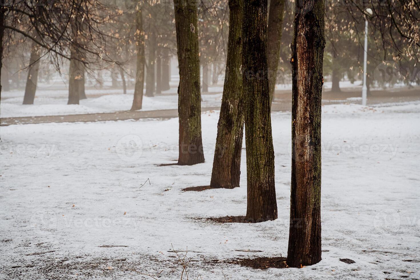 A man standing on a bench in a park photo