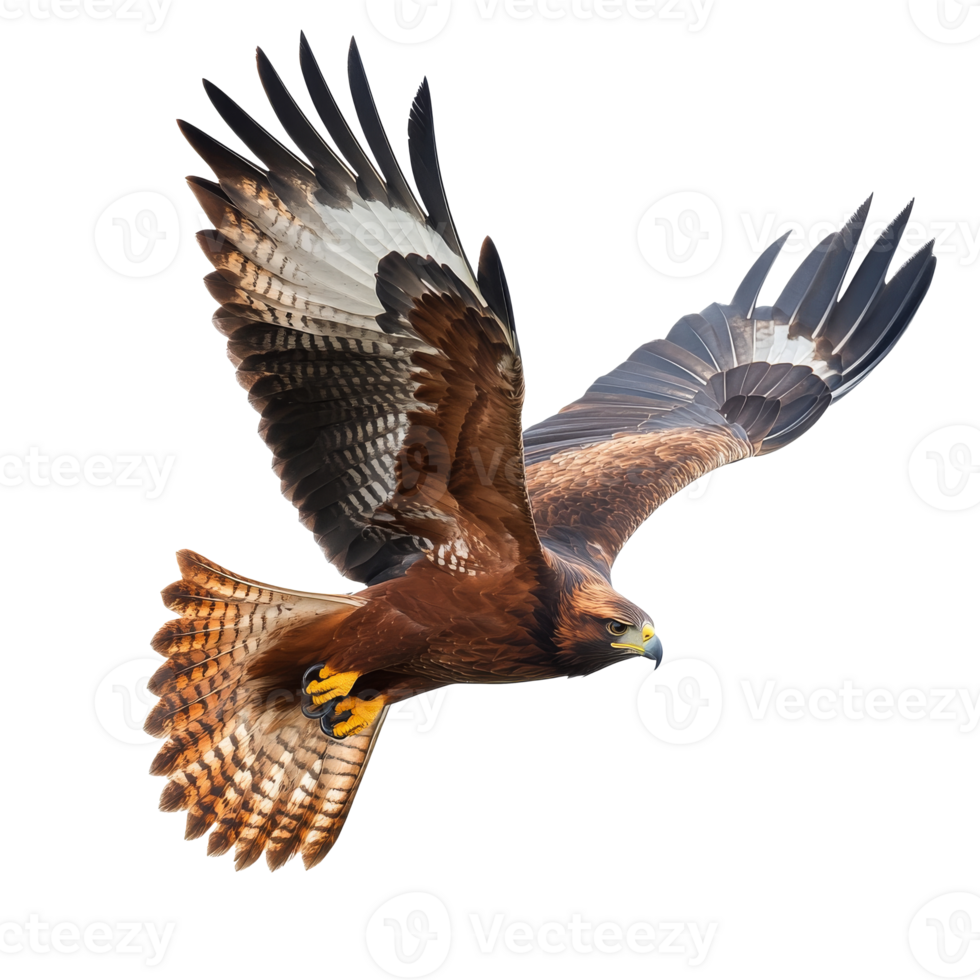 Majestic hawk soaring through the sky png