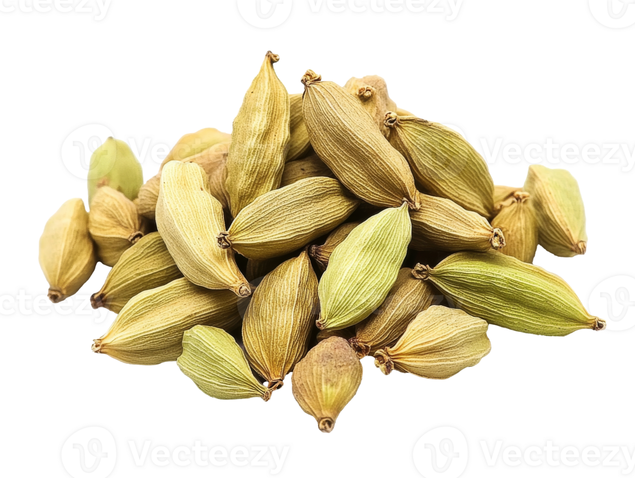 Cardamom pods arranged in a natural display png