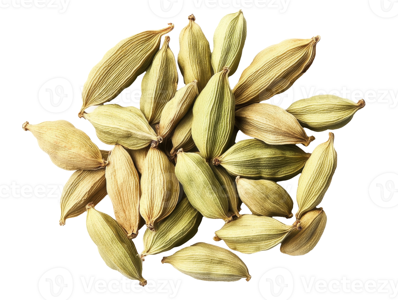 Green cardamom pods displayed on a white surface png
