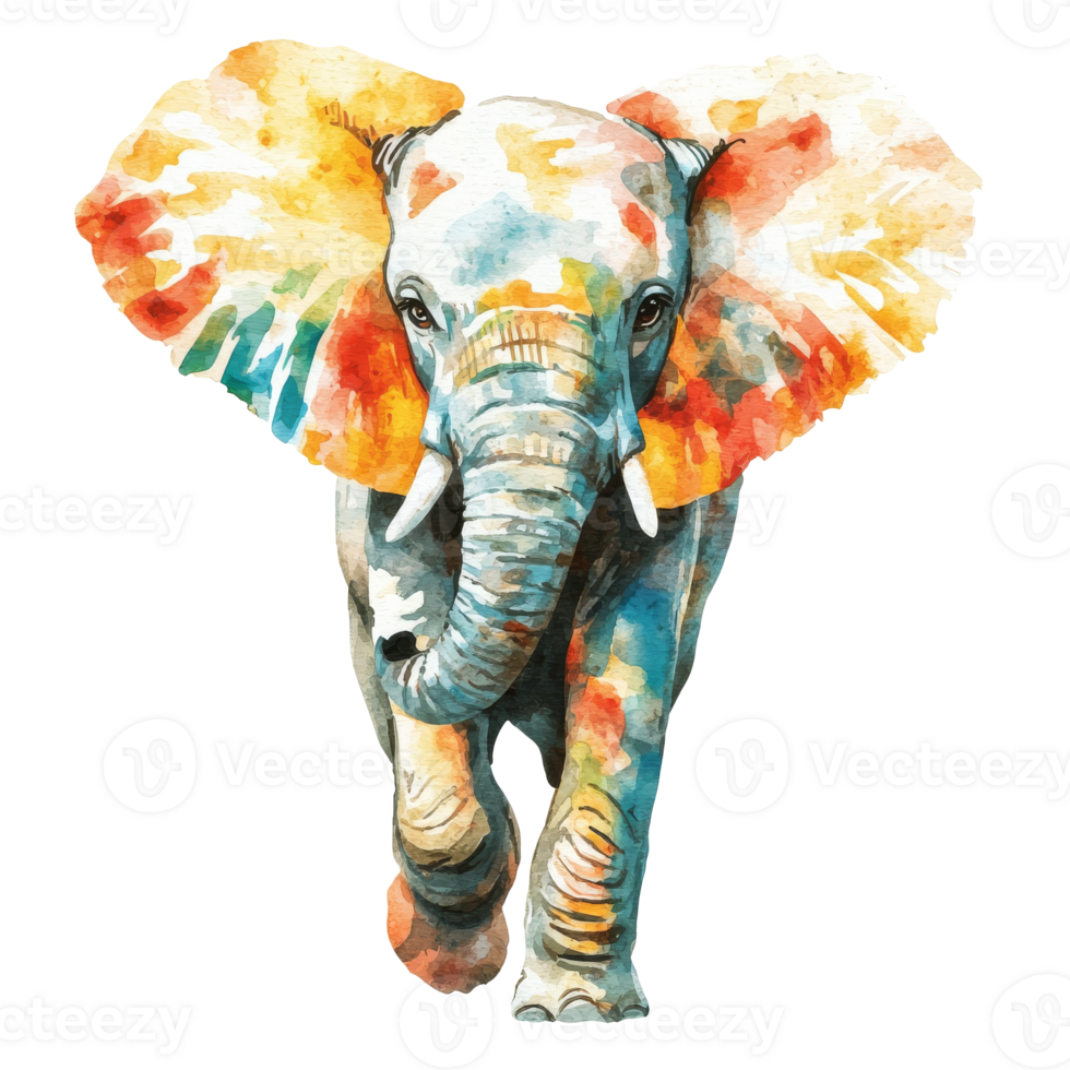 Vibrant elephant with paint splash png