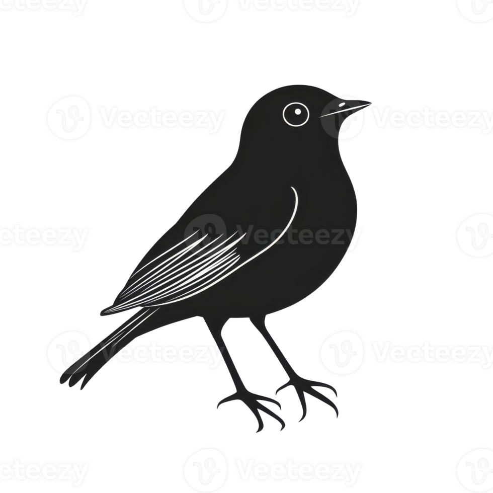 Black bird with distinct features in profile view png