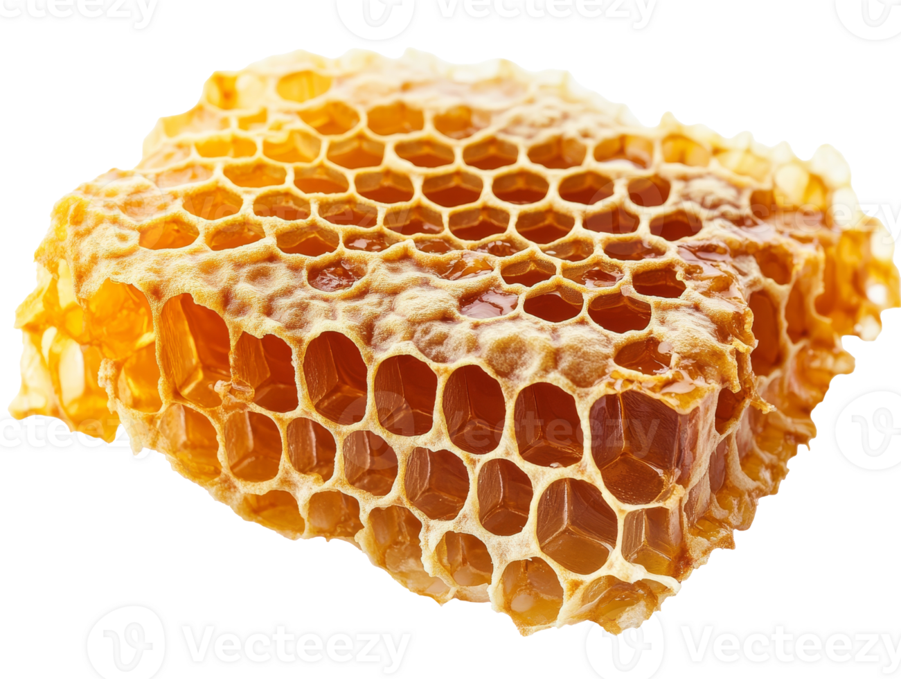 Fresh honeycomb with golden honey dripping png