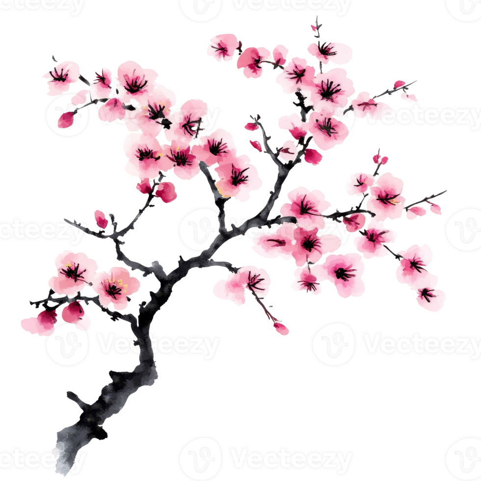 Blossoming cherry tree branch in spring season png