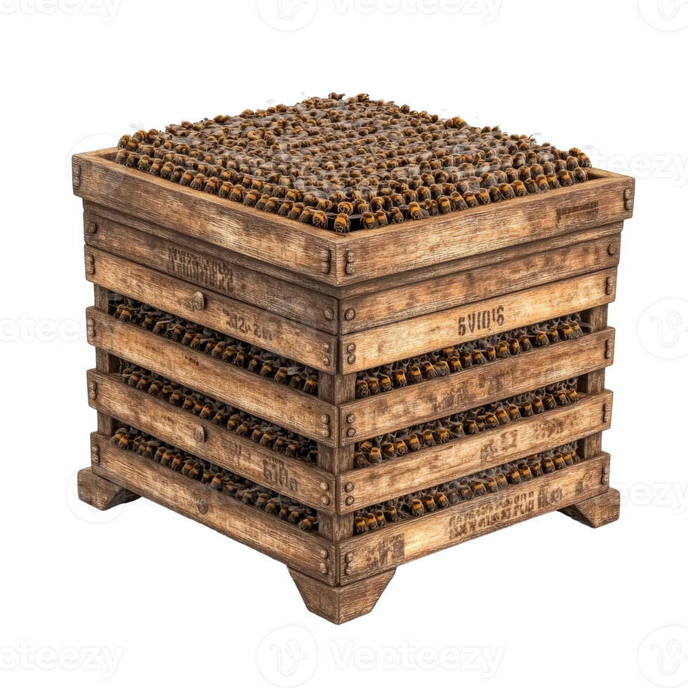 Honeycomb storage unit filled with fresh honey png
