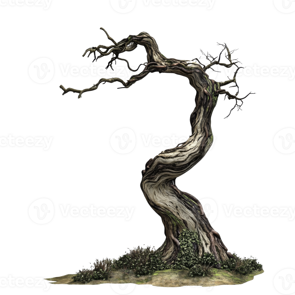 Ancient twisted tree with unique bark texture png