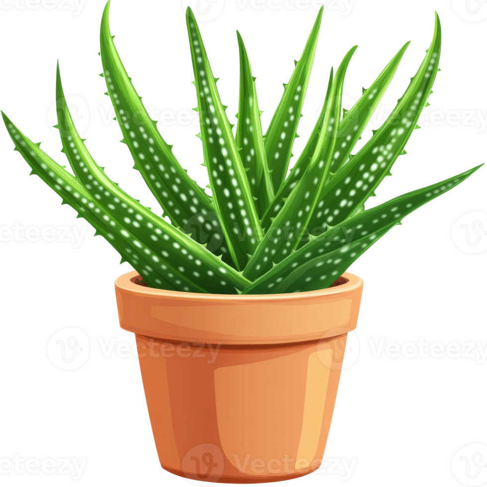 Aloe vera in terracotta pot png