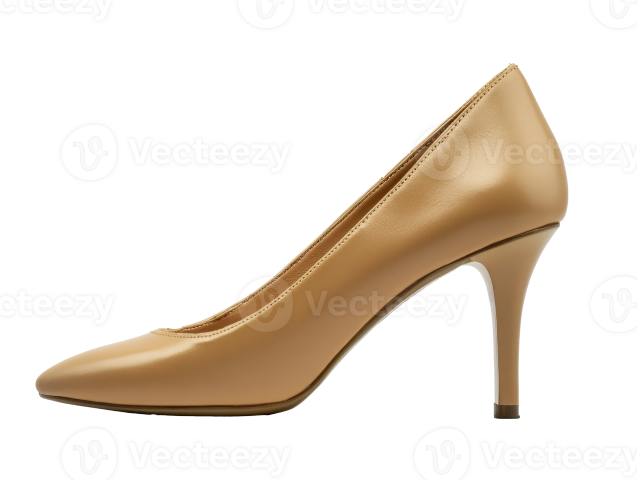 Pointed toe elegant nude high heels png