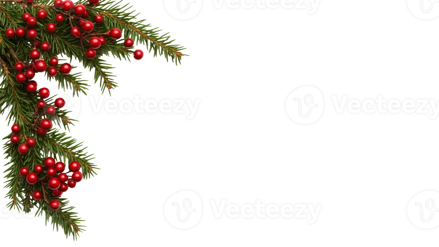 Decorative evergreen branches with red berries png
