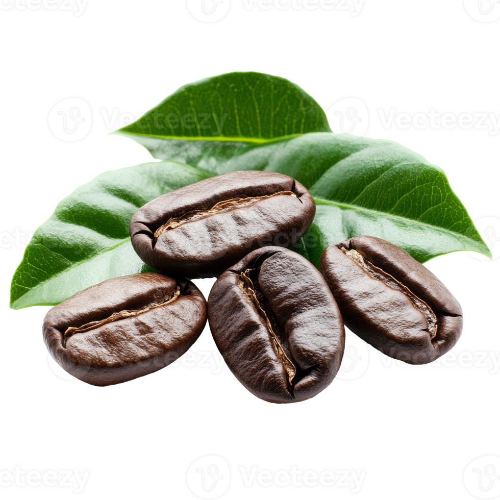 Freshly roasted coffee with green leaves png