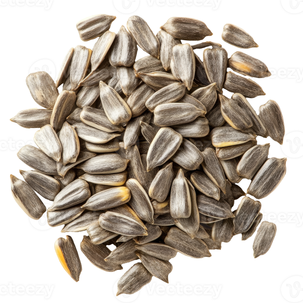Sunflower seeds arranged in a circular pattern png