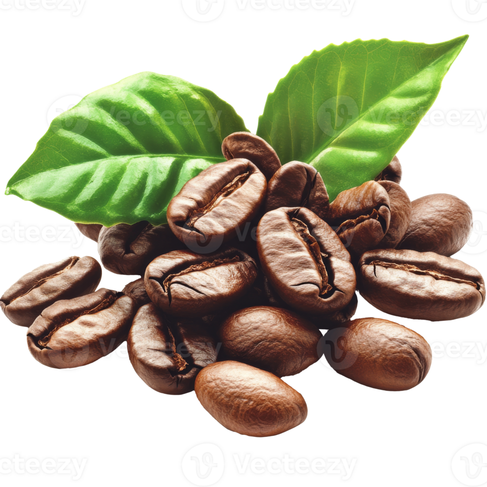 Coffee beans and green leaves on white png