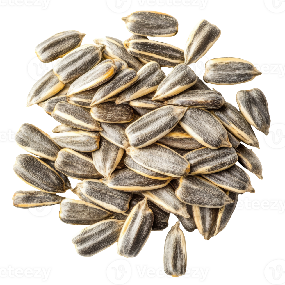 Sunflower seeds arranged in a neat pile for snacks png