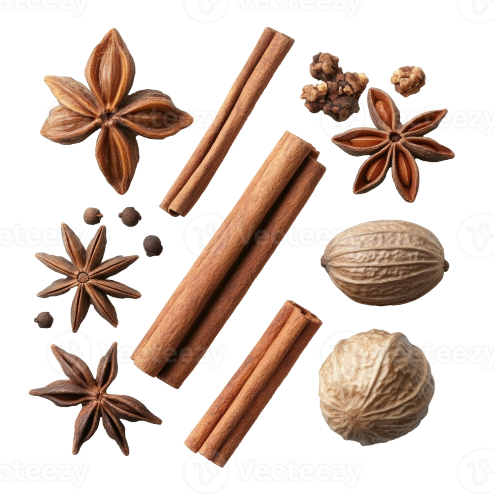 Collection of various spices arranged creatively png