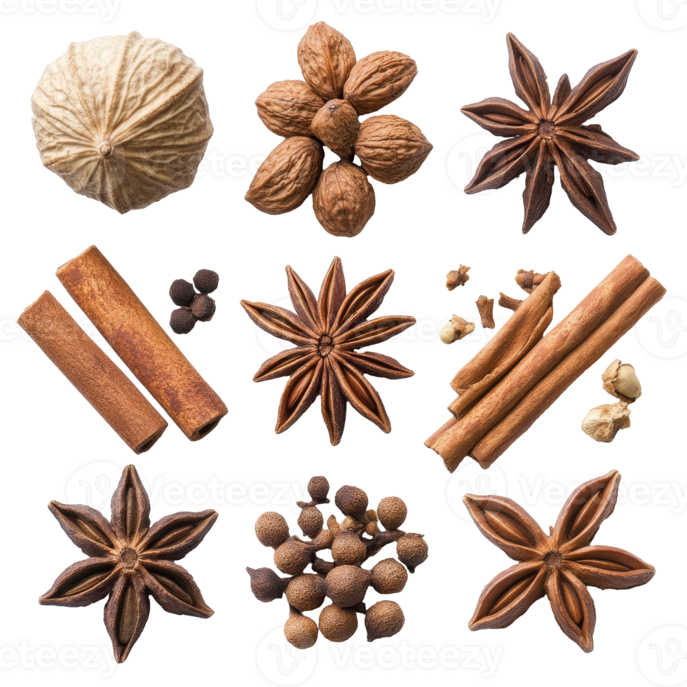 Collection of various spices displayed elegantly png