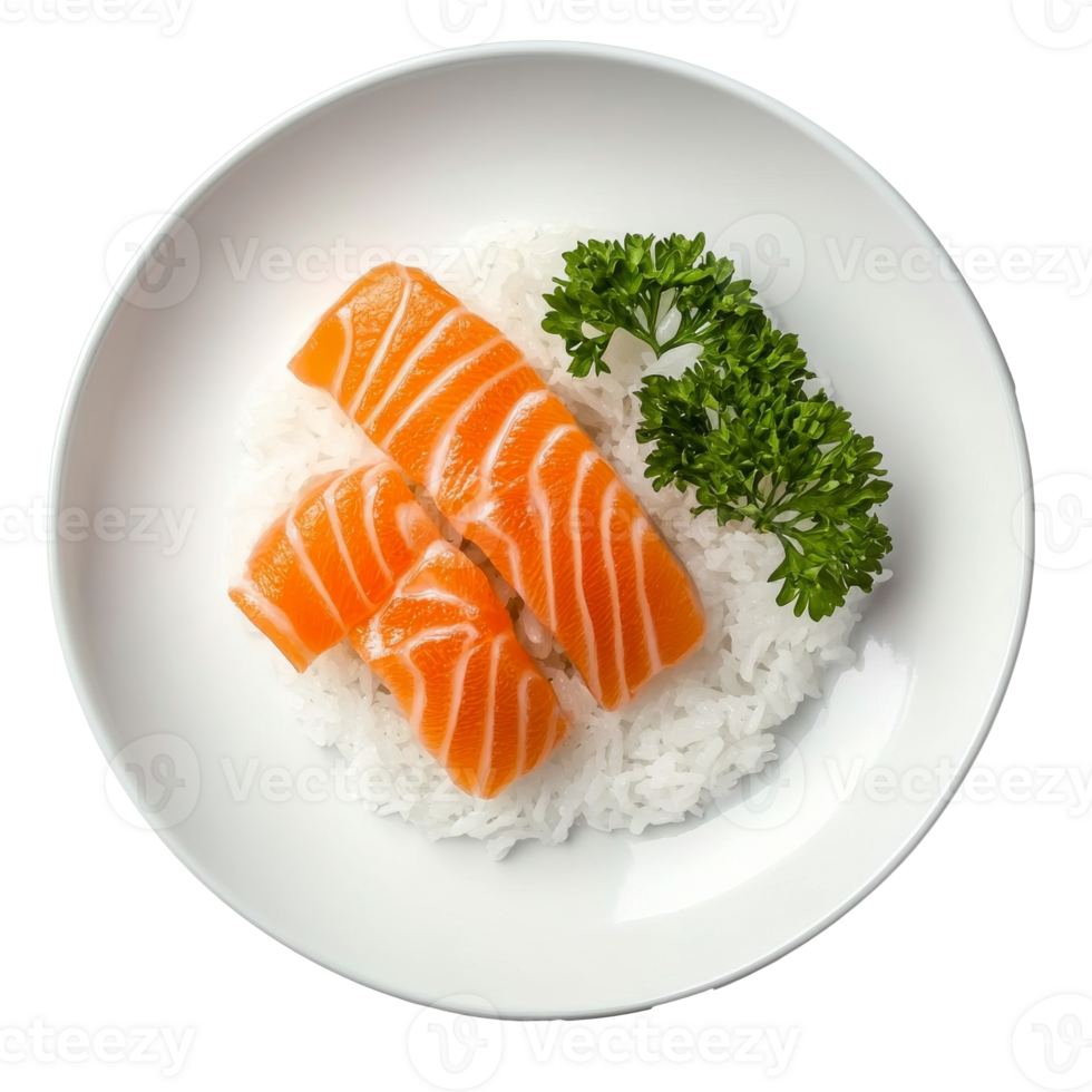 Fresh salmon slices on a bed of white rice png