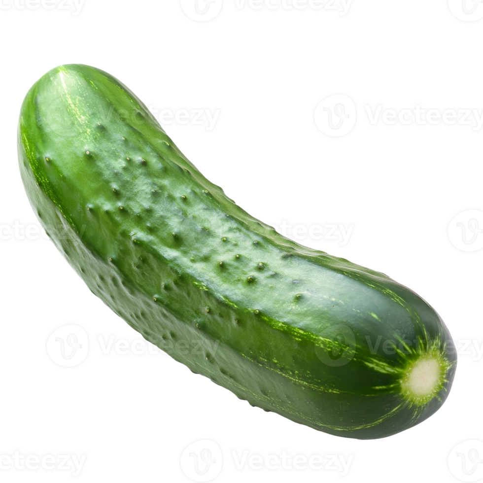 Vibrant green cucumber with fresh texture png