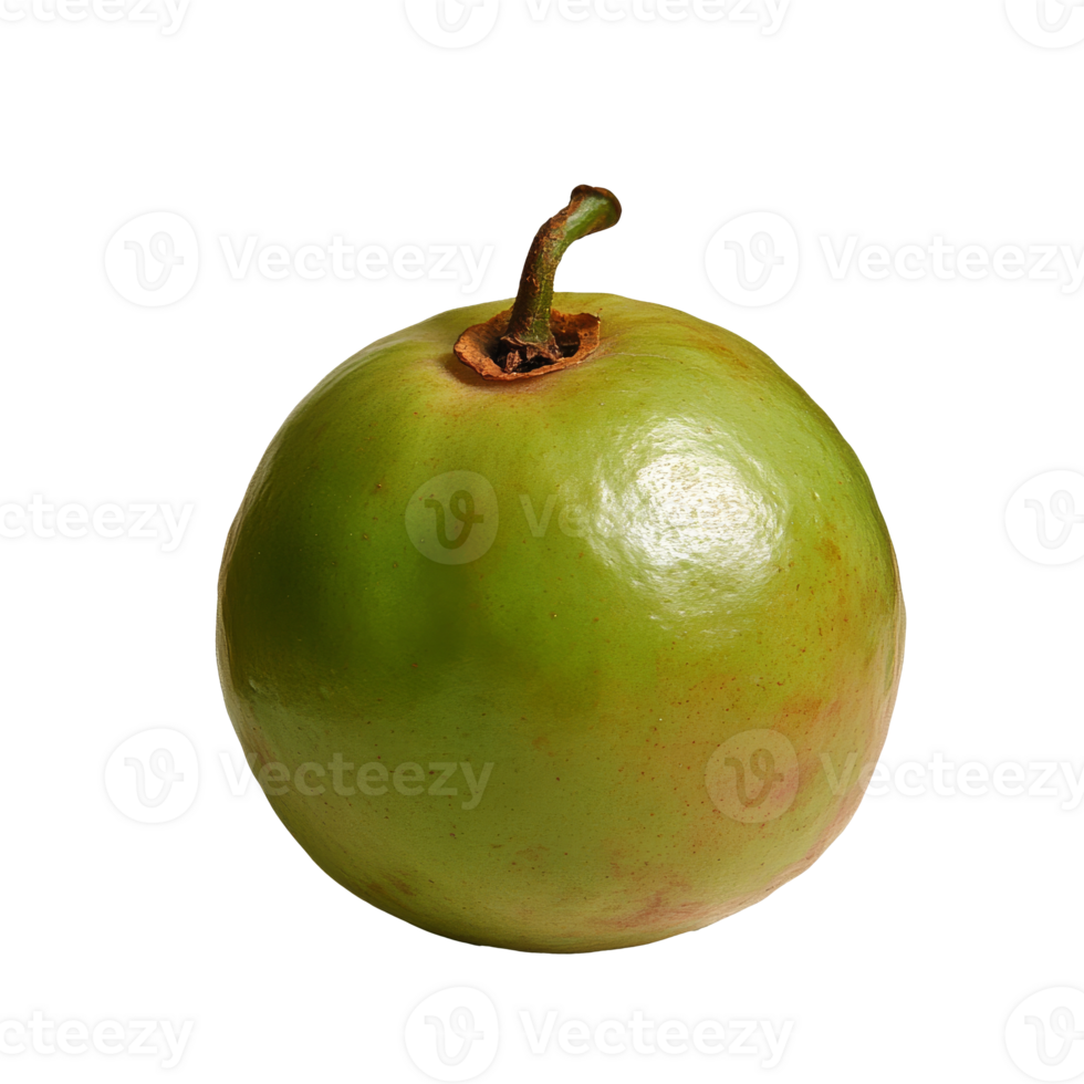 Green apple with shiny surface and stem detail png