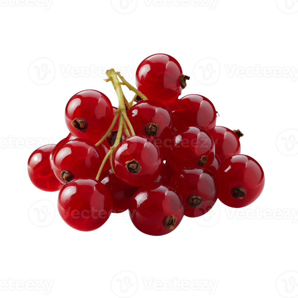 Fresh red currants arranged neatly for display png