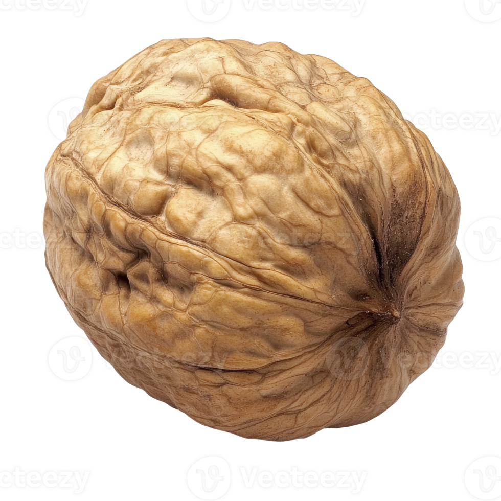 Walnut with textured shell resting on a surface png