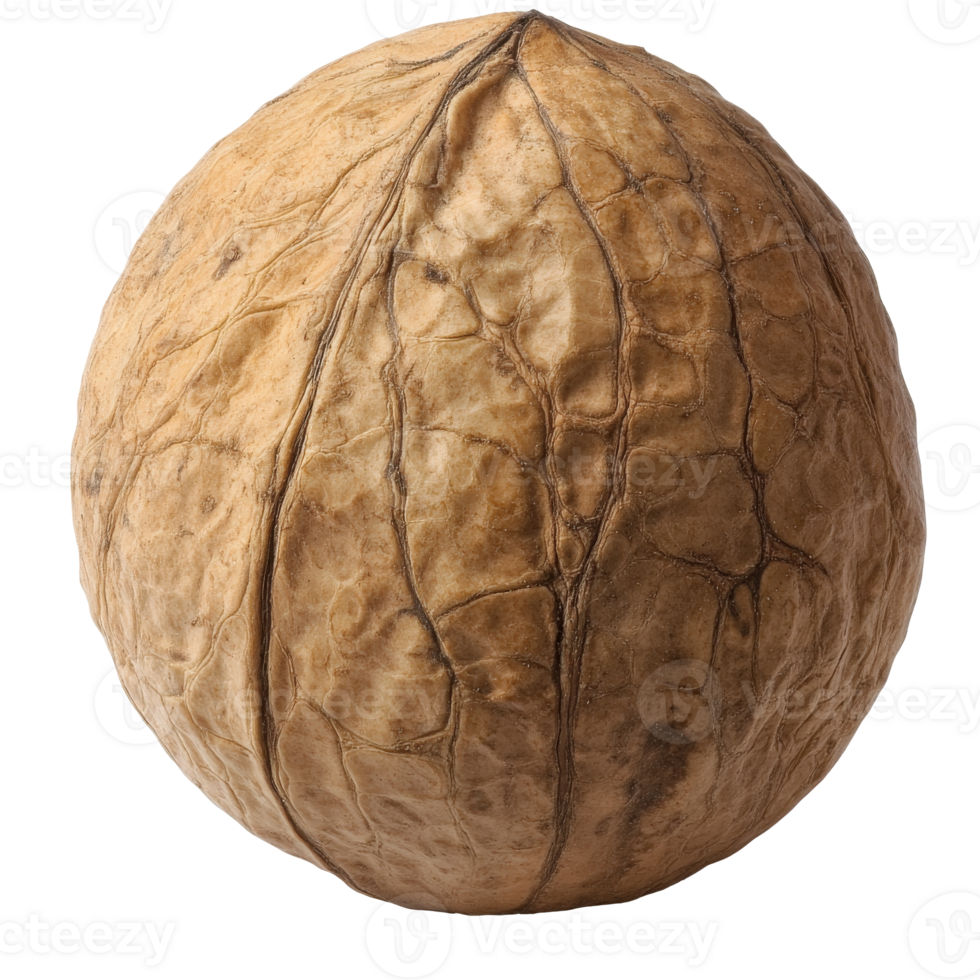 Large walnut shell displayed on a white background png